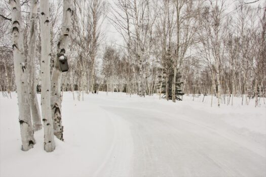 Sentier de patinage sur glace en plein air entouré de neige et d'arbres